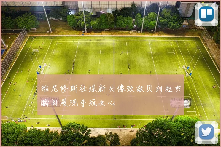 维尼修斯社媒新头像致敬贝利经典瞬间展现夺冠决心