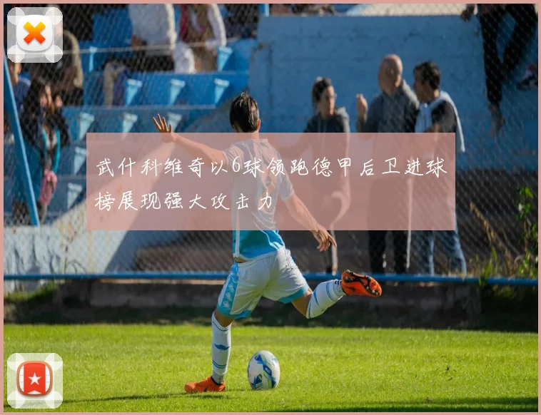 武什科维奇以6球领跑德甲后卫进球榜展现强大攻击力